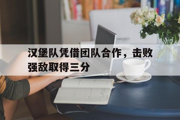 汉堡队凭借团队合作,击败强敌取得三分的简单介绍