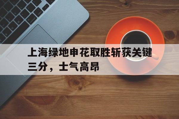 关于上海绿地申花取胜斩获关键三分，士气高昂的信息